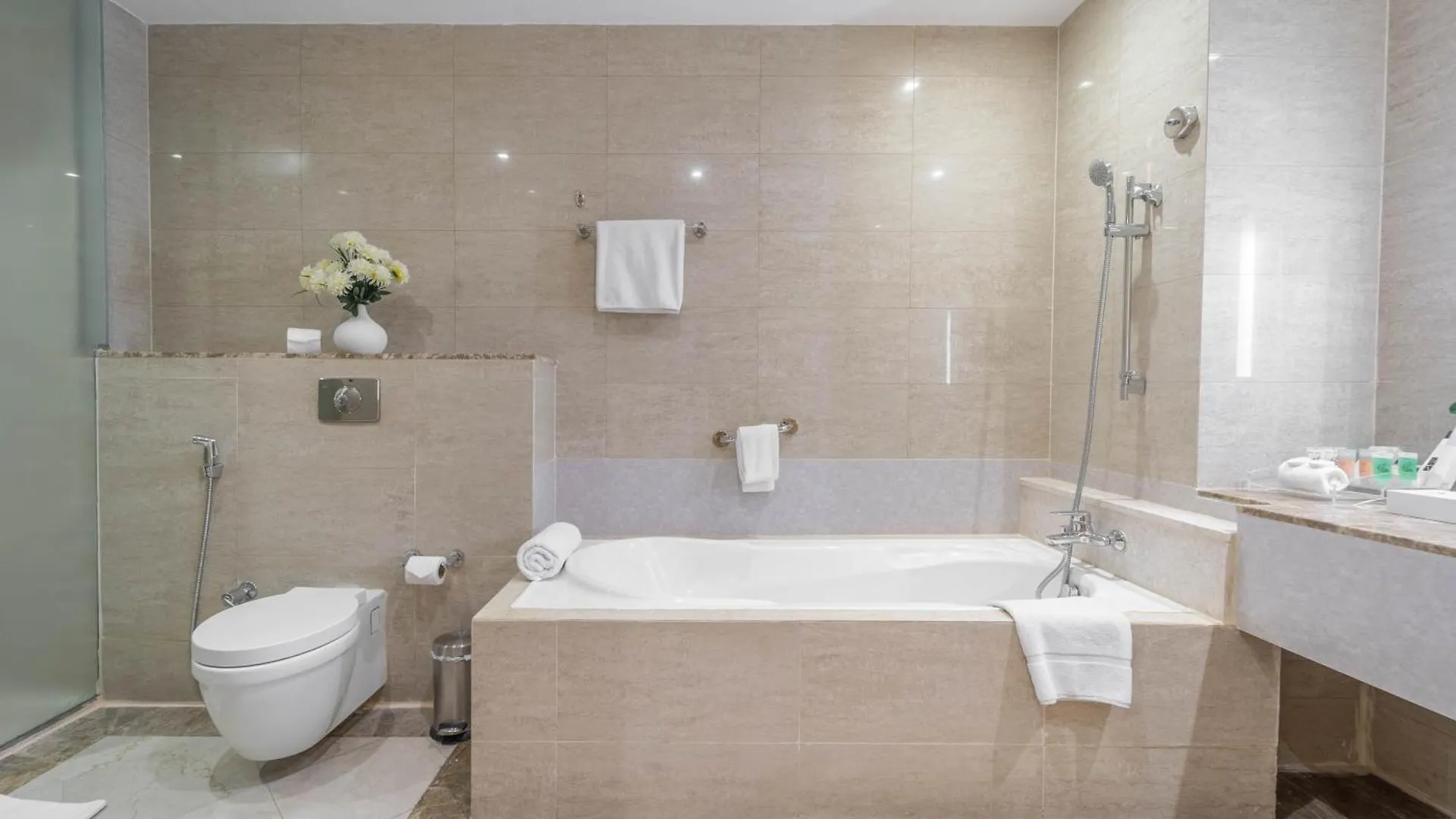 ****  The Leela Hotel Dubai United Arab Emirates
